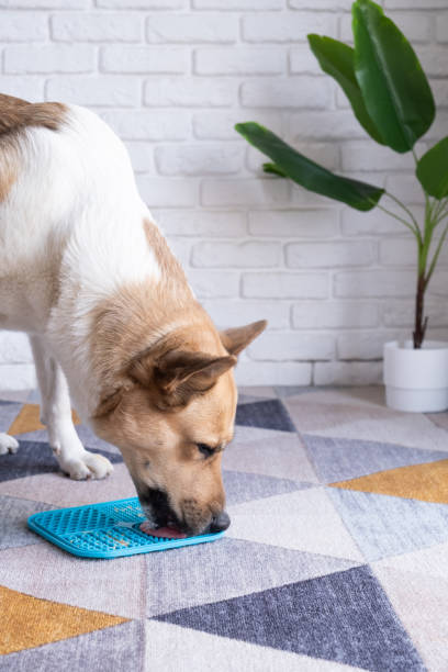 GENORIAL Pet Lick Mat - Slow Feeder Silicone Mat for Anxiety Relief & Bath Time