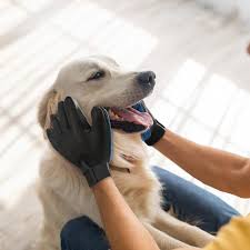 GENORIAL Pet Grooming Glove - Deshedding Massage Glove for Dogs & Cats
